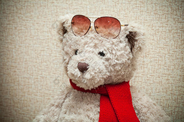 戴着围巾和墨镜的泰迪熊