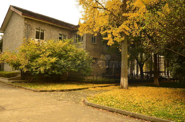 秋天，中国苏州大学校园的一角。