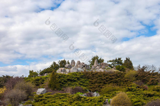 基辅植物园的<strong>假山</strong>（高山花园）