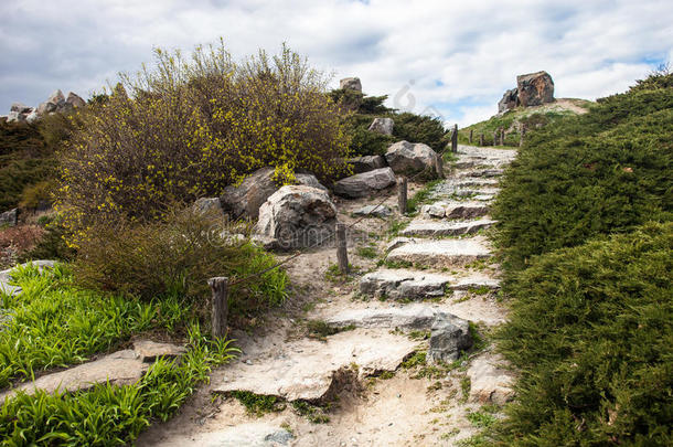 基辅植物园<strong>假山</strong>上的石阶