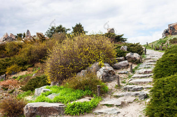 基辅植物园<strong>假山</strong>上的石阶