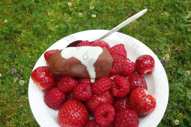新鲜草莓树莓甜点