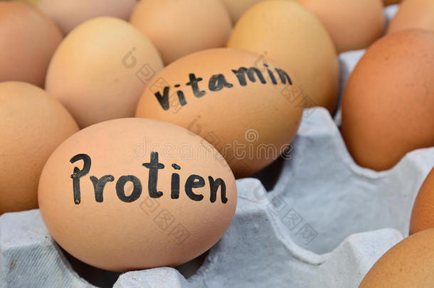 鸡蛋与蛋白质，维生素的食物概念