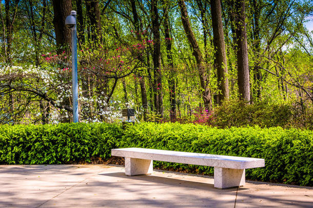 在肯的华盛顿摩门圣殿的长凳和春天的颜色