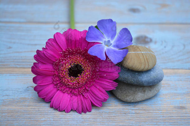 用过的木头上的三块禅石，上面有紫色和粉色的花