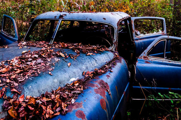 一辆<strong>锈迹</strong>斑斑、被落叶覆盖的废弃汽车