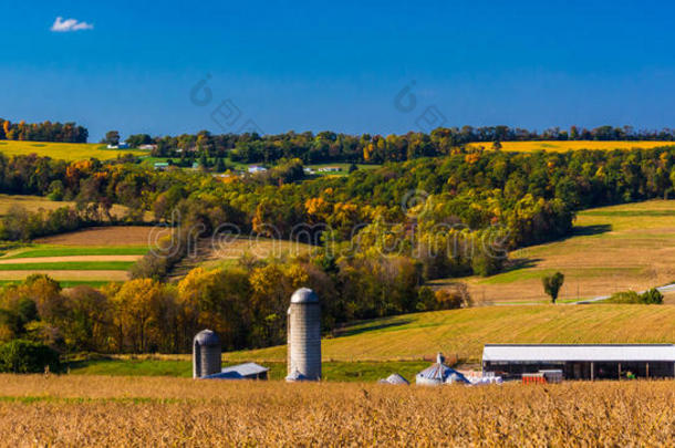 在宾夕法尼亚州约克县农村的一个农场和起伏的山丘的初秋景色。
