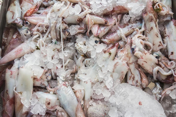 希腊kalymnos岛市场上的新鲜海鱿鱼