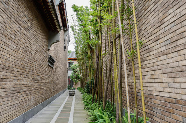 中国传统建筑之间的小巷中的竹子