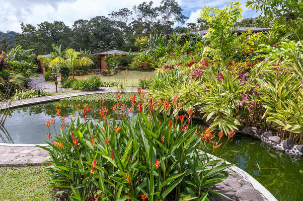 花园有各种热带植物和花卉