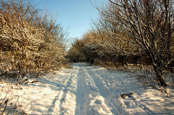 拖拉机轮<strong>胎</strong>在<strong>雪地</strong>里留下痕迹。