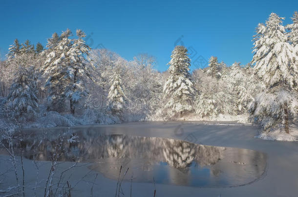 一个新冰冻的森林池塘被新鲜的白雪覆盖着