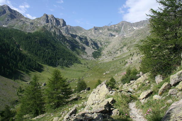 阿尔卑斯海阿尔卑斯山阿尔卑斯山阿尔卑斯山阿尔卑斯山阿尔卑斯山阿尔卑斯山阿尔卑斯山阿尔卑斯山阿尔卑斯山，靠近费雷尔的福内里斯深谷（