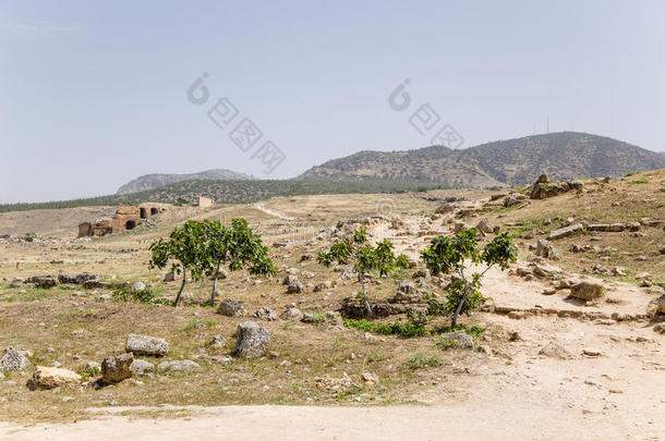 土耳其希拉波利斯。考古区。左-罗马剧院的废墟，公元1-4世纪