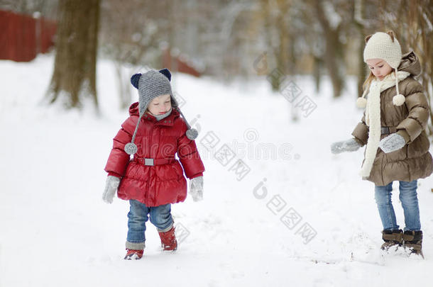 两个<strong>小妹</strong>妹在雪天玩得很开心