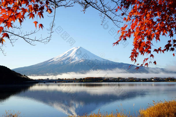 红枫叶日本川崎湖富士山