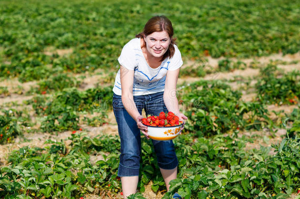 快乐的年轻女人在<strong>摘草莓</strong>农场<strong>摘草莓</strong>
