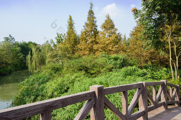 晴天行人天桥栏杆对水边植物