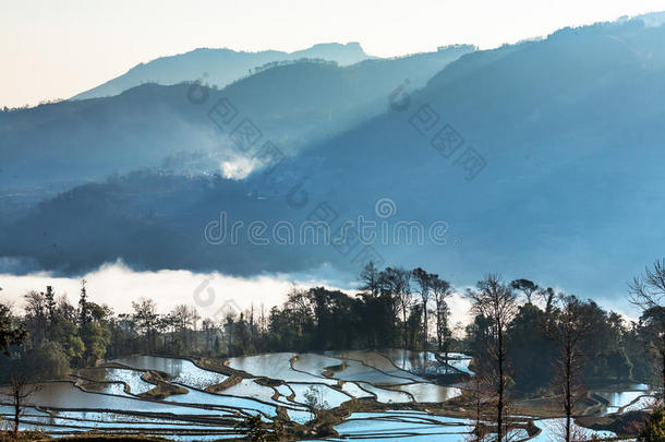 云南风景梯田