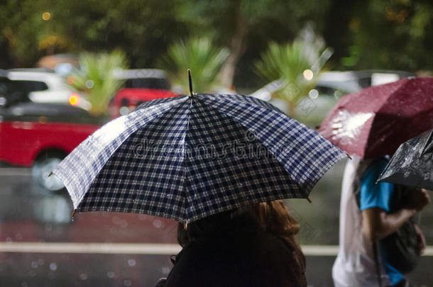 雨中撑伞的女士