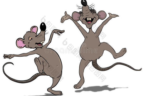 快乐的老鼠和老鼠