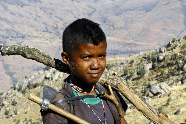 辛苦工作的可怜男孩背着树干-马达加斯加