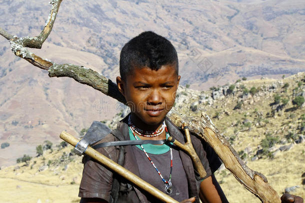 <strong>辛苦</strong>工作的可怜男孩背着树干-马达加斯加