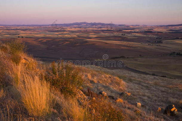 华盛顿州东部帕卢斯山谷steptoe butte日落景观