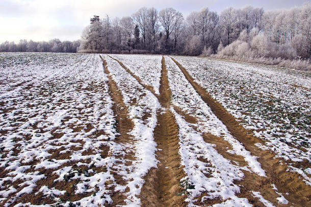 冬季庄稼地，拖拉机的痕迹覆盖着积雪