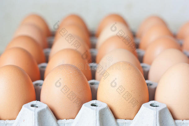 一排排装在纸箱里的鸡蛋