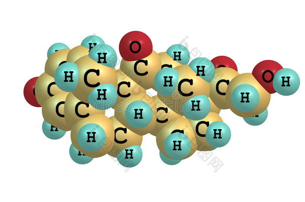 强的松分子分离的白色