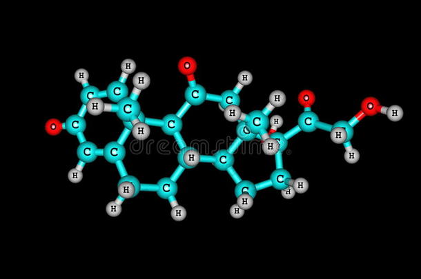 强的松分子