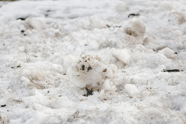 多云的冬日下雪