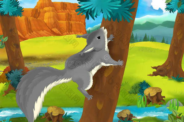 卡通场景-野生美洲动物-松鼠