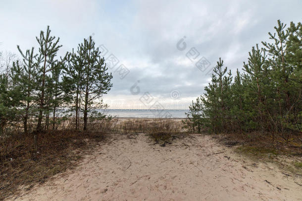 秋天的波罗的海海滩，云朵和波浪向着荒芜的沙丘飞去