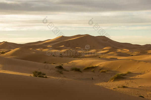 摩洛哥的大沙丘