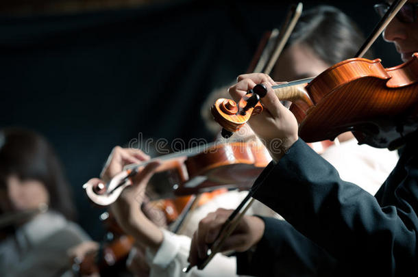 交响乐团小提琴手表演
