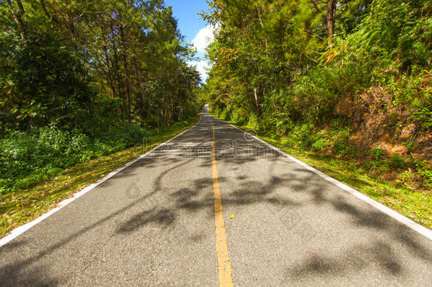 穿过绿色的乡间小路磁场.绕组道路。