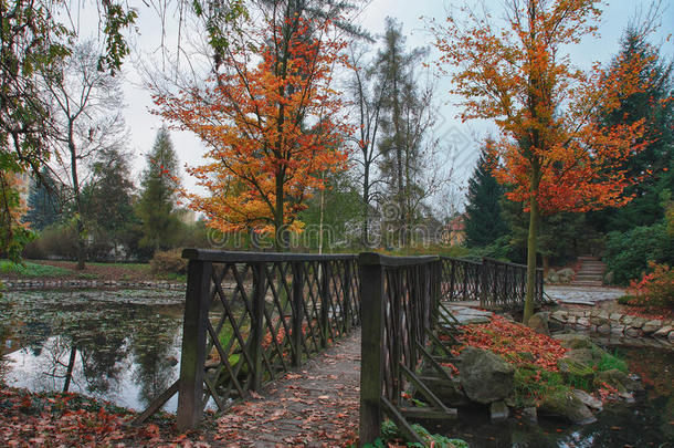小湖小桥倒影城市秋季公园