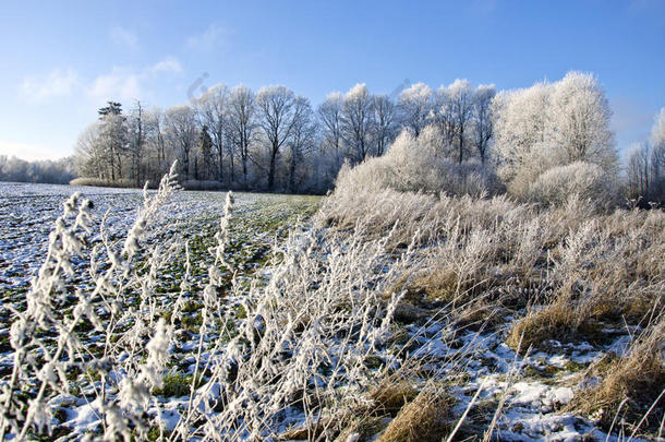 美丽的冬日白霜雾凇景观