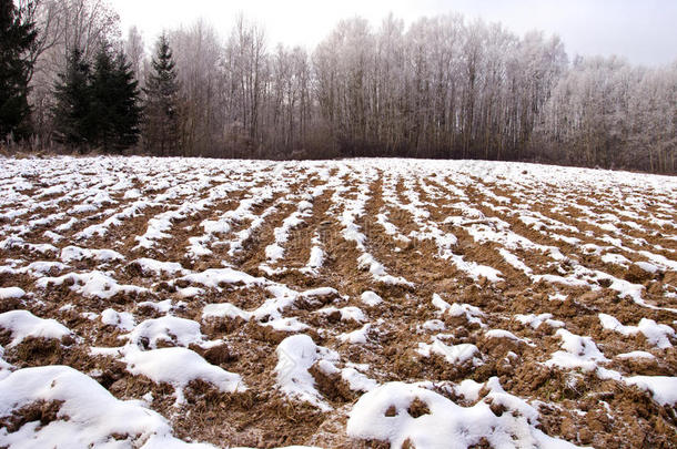 犁过的冬日农田被积雪覆盖