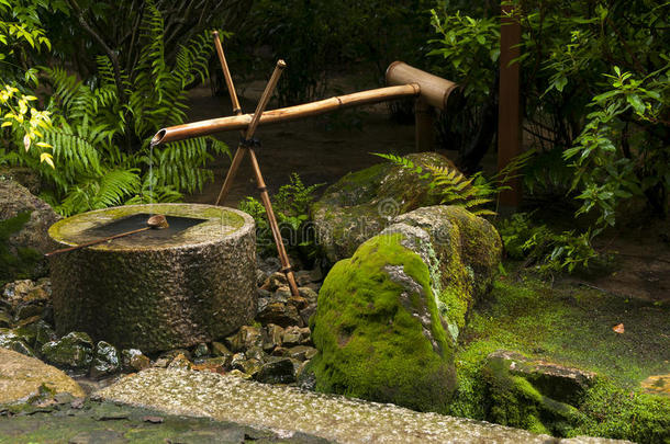 日本水竹喷泉