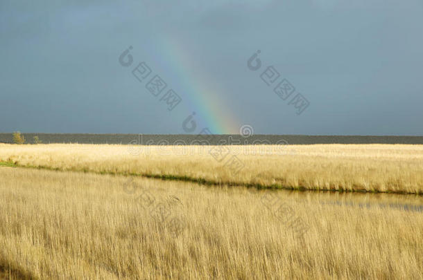 草原与彩虹景观