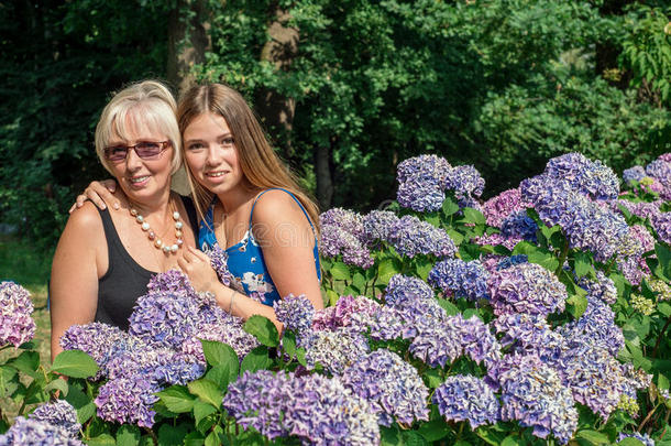 两个不同年代的女人站在绣球花旁。母女俩。祖母和孙女。