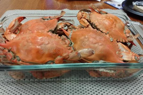 煮熟的新鲜螃蟹