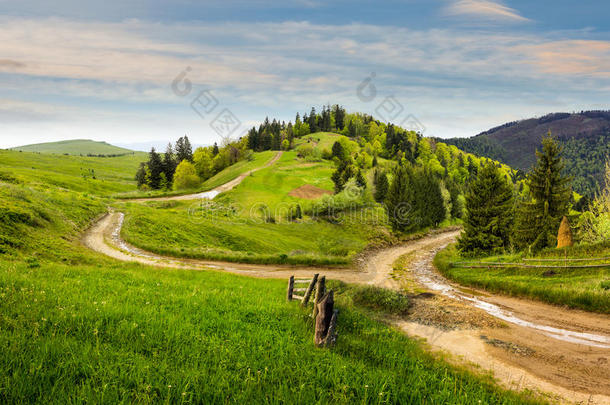 日出时在山上山坡草地上过马路