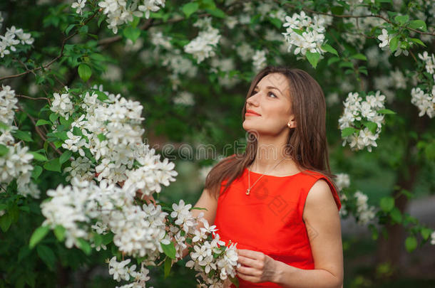 美丽的女人在白色的春天开花的苹果树