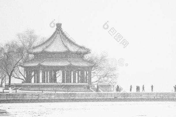 <strong>北京黑色</strong>瓷器城市景观花园