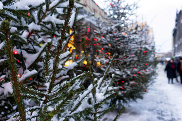 城市街道上装饰着圣诞树和彩灯