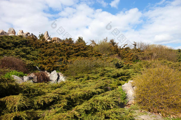 基辅植物园的<strong>假山</strong>（高山花园）